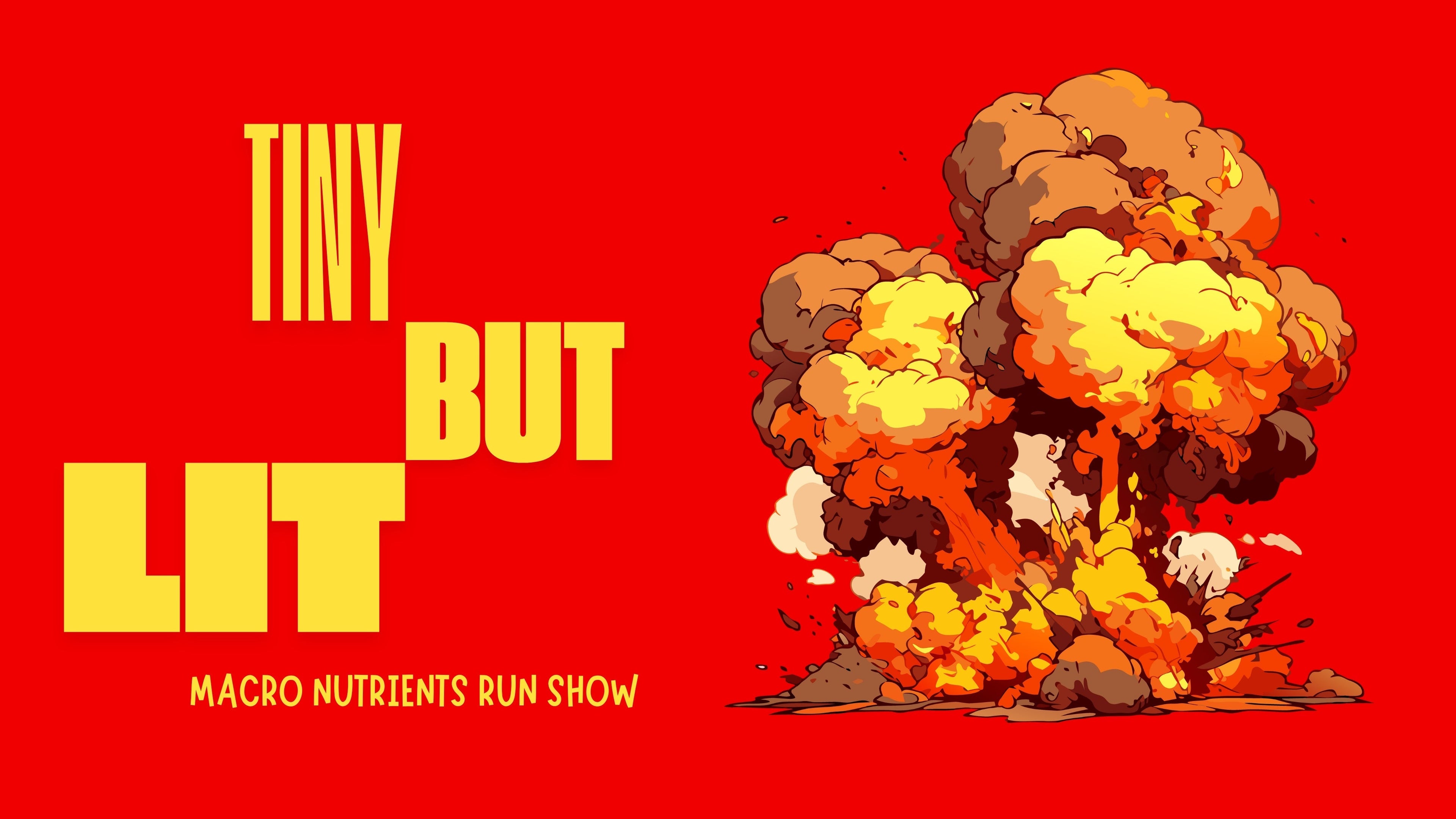 Tiny But Lit: How Macronutrients Secretly Run the Whole Show
